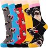 01-pug Socks-5 Pairs